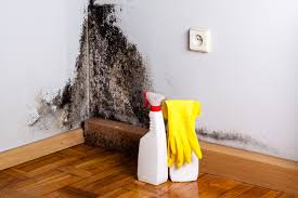 Best Industrial Mold Remediation  in Kenosha, WI